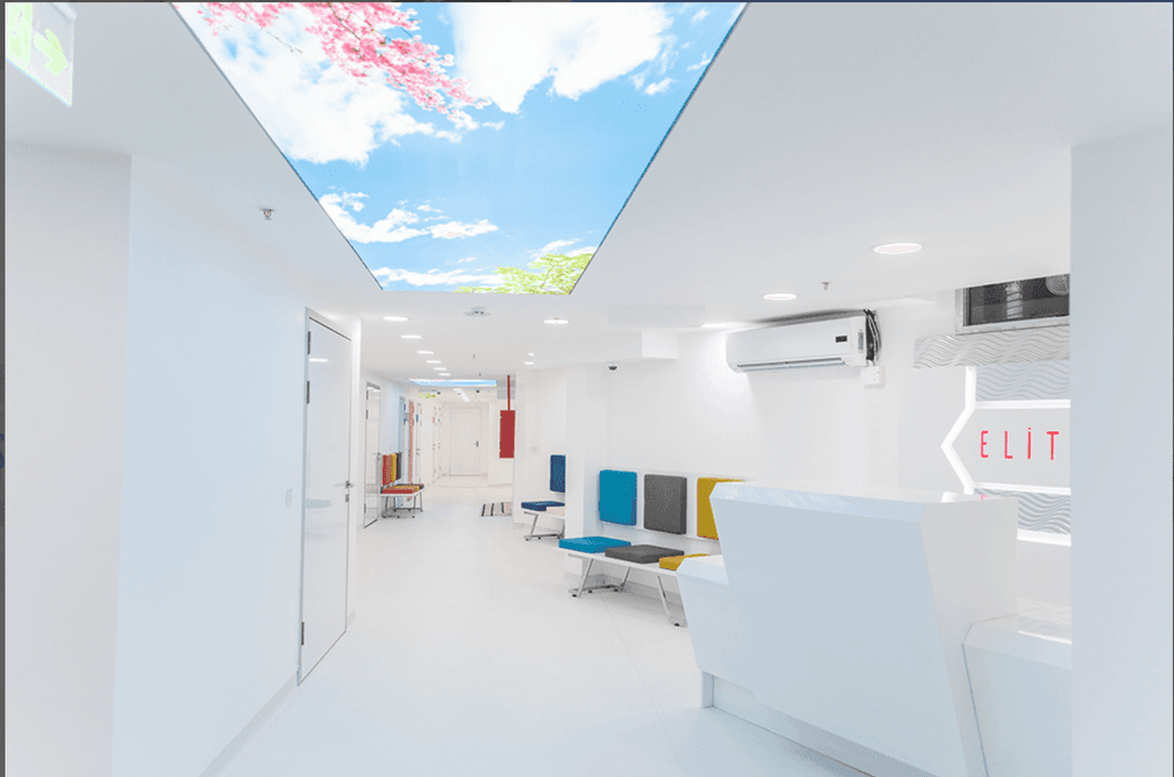 إليت إسطنبول — معلومات أساسية